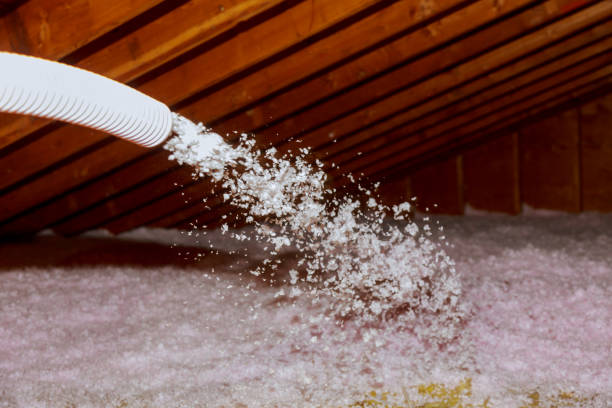 Best Insulation Installation Services in Suwanee, GA